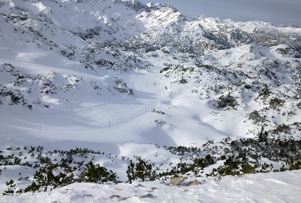 Vogel je bil obljuden že v prazgodovini