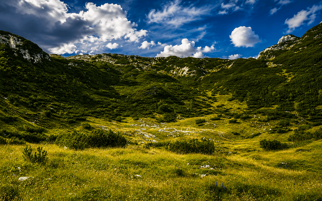 Planine – več kot dediščina