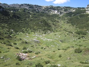 Arheološke raziskave - testni izkopi sond za časovno opredelitev nadjišča