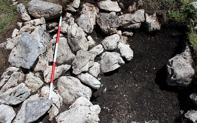 NOVA ARHEOLOŠKA ODKRITJA NA PLANINI BOŠINKA NAD DEDNIM POLJEM