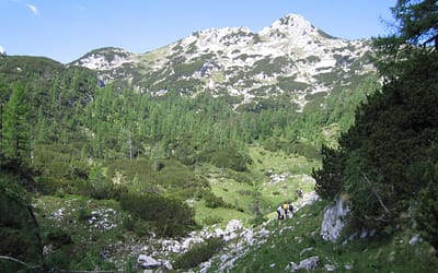 Novi dokazi o obljudenosti visokogorja