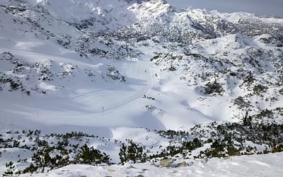 Vogel je bil obljuden že v prazgodovini