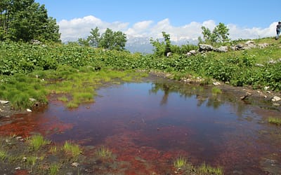 Arheološke raziskave v visokogorju Julijskih Alp, Bohinj