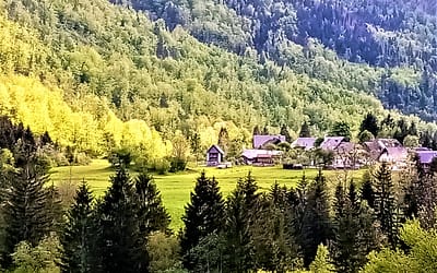 Znamenitosti Bohinja – ogled arheološkega najdišča na Žlanu