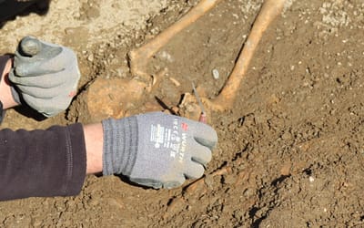 Raziskani temelji nekoč mogočne baročne cerkve Sv. Martina v Poljanah nad Škofjo Loko, starejši gotski temelji cerkve s tlakom in sledi romanske cerkve, so izjemen kulturni spomenik.