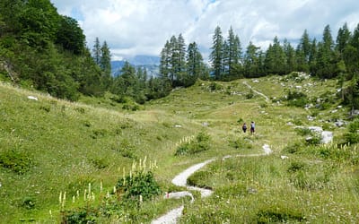 Arheološka pot Vogel