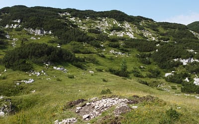 Visokogorske arheološke raziskave v Vzhodnih Julijskih Alpah